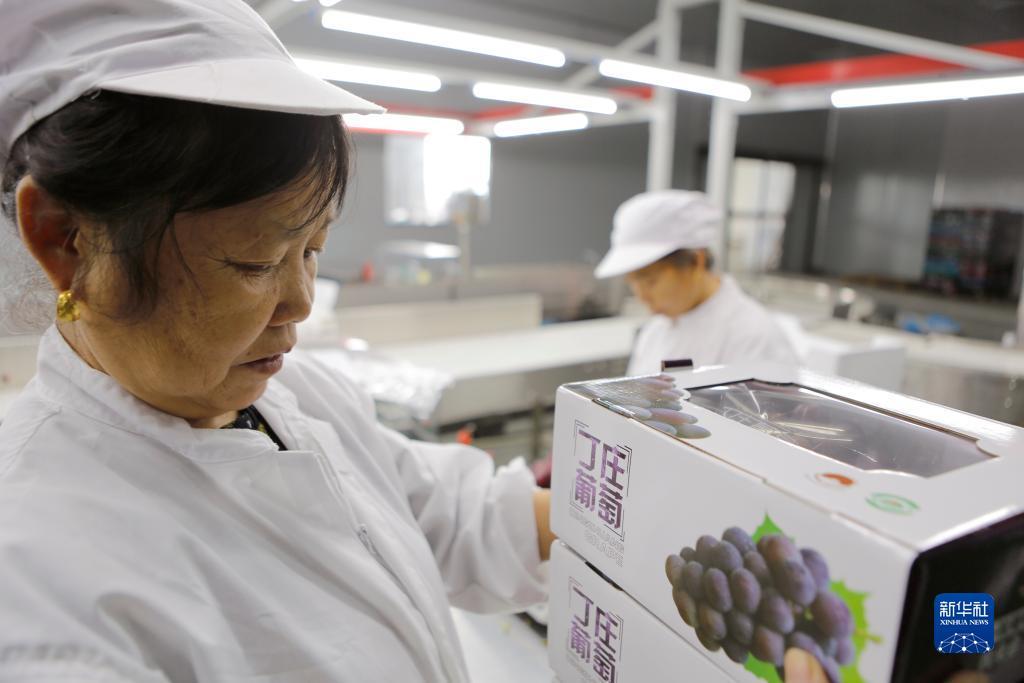 www奔驰宝马官方网址